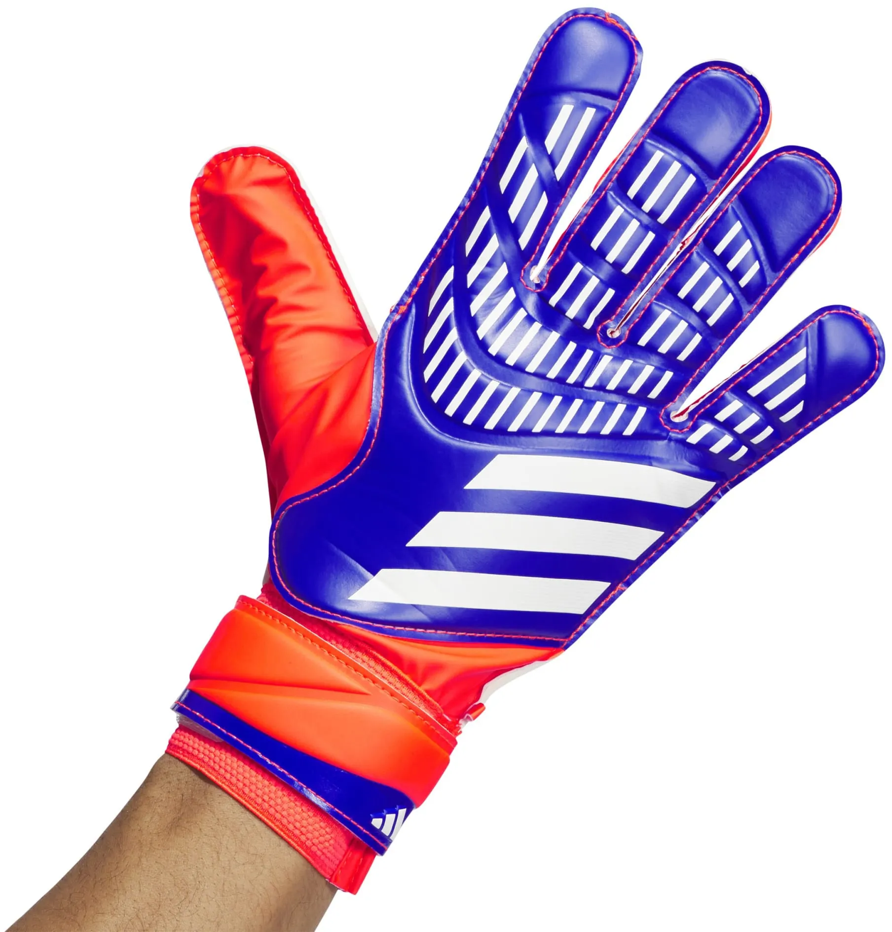 Predator Training Goalkeeper Gloves