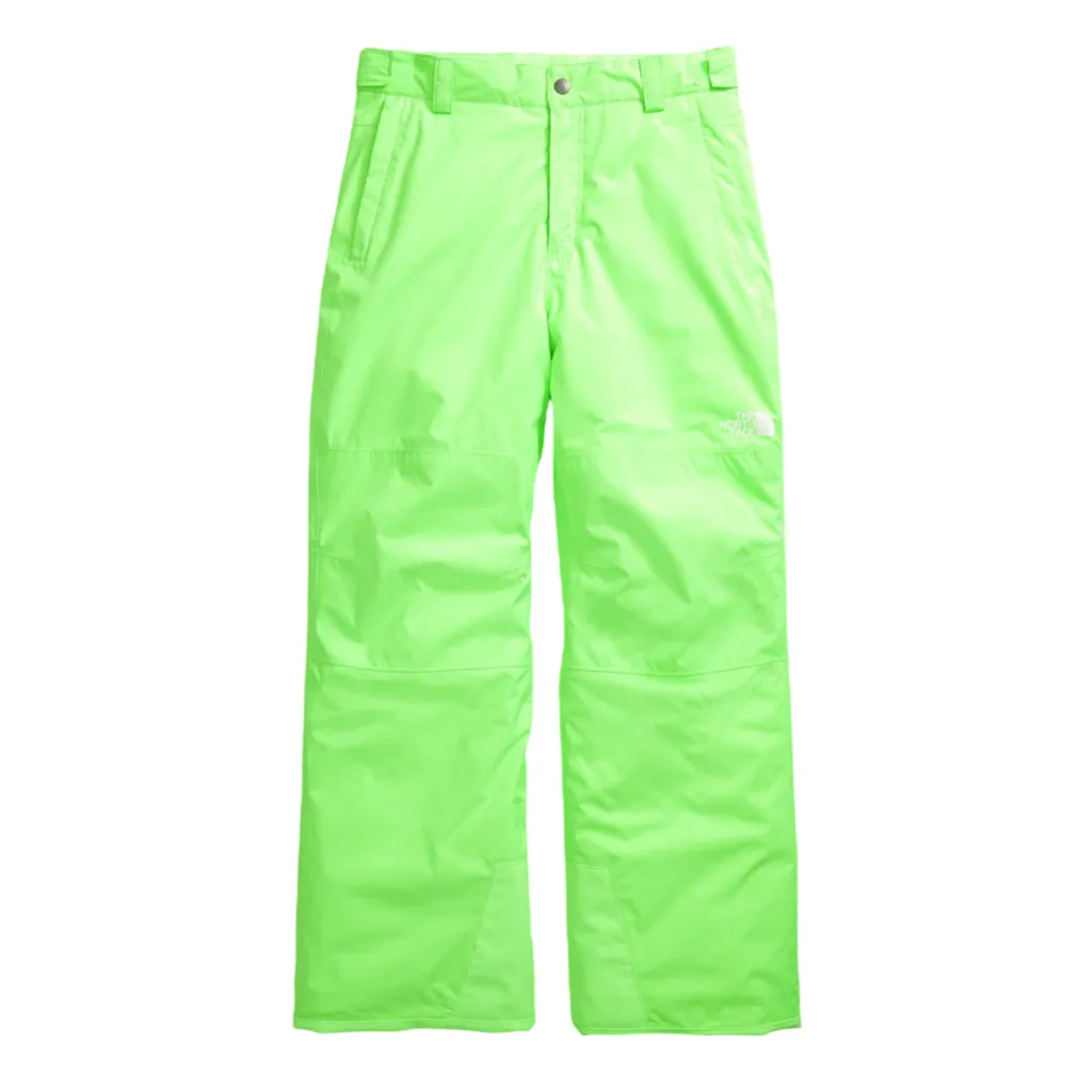 The North Face Boys' Freedom Insulated Pant