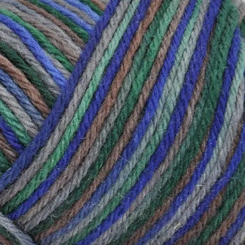 Wildfoote Luxury Sock Weight Superwash Yarn | 50 grams, 215 yards per skein