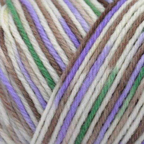 Wildfoote Luxury Sock Weight Superwash Yarn | 50 grams, 215 yards per skein